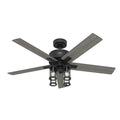Astwood II Ceiling Fan with Light by Hunter