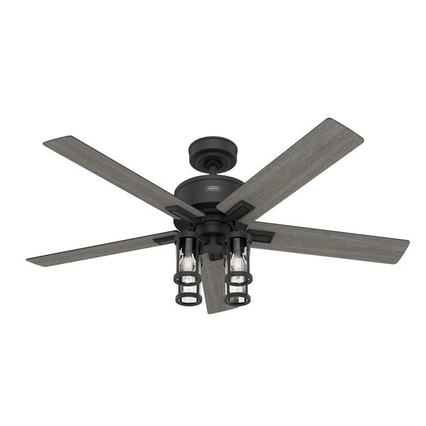 Astwood II Ceiling Fan with Light by Hunter