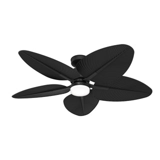 Buy matte-black-finish-with-matte-black-blades Tropic View Ceiling Fan with Light by Hunter