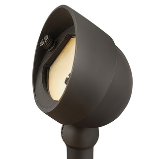 Hardy Island Accent Spot Light Outdoor (Wet) Wall Wash by Hinkley