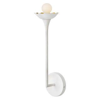 Darla Outdoor (Damp) Sconce by Lark