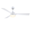Barlow Outdoor (Damp) Ceiling Fan with Light by Fanimation