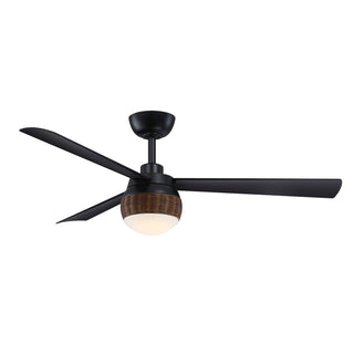 Paget Outdoor (Damp) Ceiling Fan with Light by Fanimation