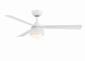 Paget Outdoor (Damp) Ceiling Fan with Light by Fanimation
