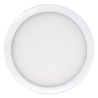 Flush Mount Light by Bulbrite