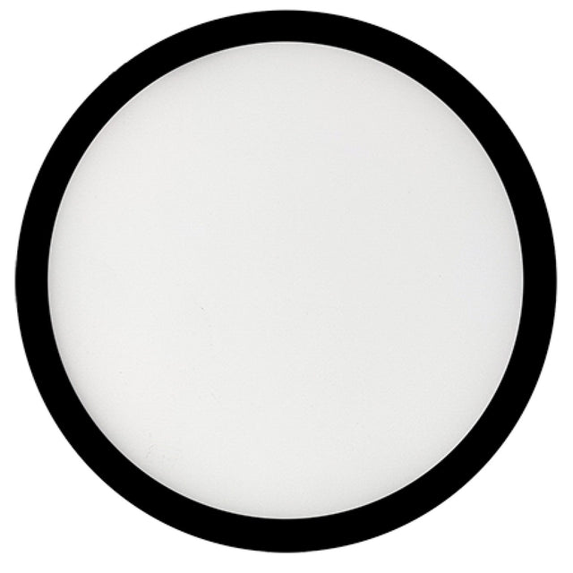 Flush Mount Light by Bulbrite