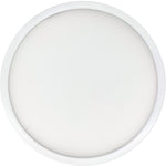 Bulbrite-773608|MAIN