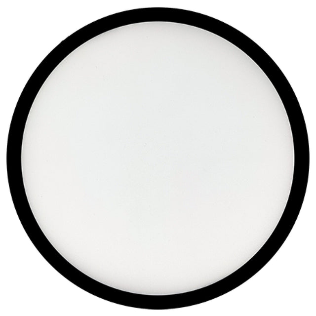 Flush Mount Light by Bulbrite