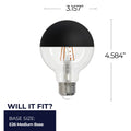 Globe E26 G25 120.00V Light Bulb by Bulbrite