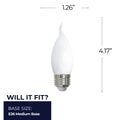 Flame Tip E26 CA10 120.00V Light Bulb by Bulbrite