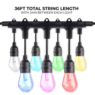 Buy smart-string-light String Hanging Lanterns by Bulbrite