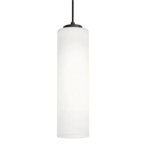 Leo Outdoor (Damp) Pendant by AFX Lighting