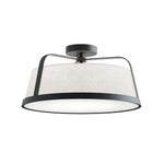 AFX Lighting-LIZC18MBBK|MAIN