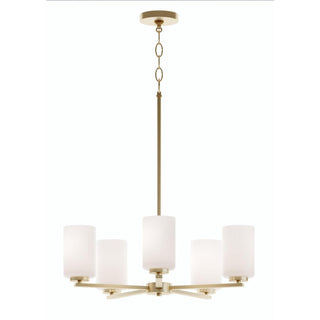 Buy light-antique-brass-and-white-shade Leo Outdoor (Damp) Chandelier by AFX Lighting