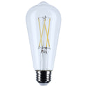 Satco Antique Light Bulb