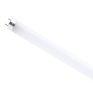 Satco - S49978R1 - Light Bulb - Gloss White from Lighting & Bulbs Unlimited.