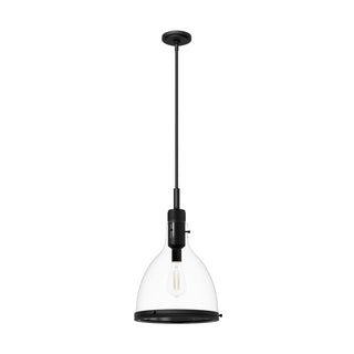 Buy matte-black-with-clear-glass-and-clear-shade Van Nuys Pendant by Hunter
