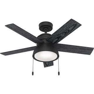 Buy matte-black-finish-with-matte-black-and-reversible-salted-black-blades Lilliput Ceiling Fan with Light by Hunter