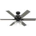 Fonthill Ceiling Fan with Light by Hunter