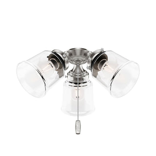 Buy brushed-nickel-with-clear-glass-and-clear-shade Light Kit by Hunter