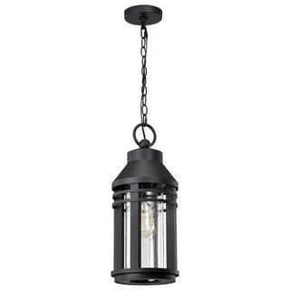 Wilton Outdoor (Damp) Hanging Lantern by Nuvo Lighting