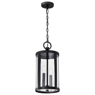 Broadstone Outdoor (Damp) Hanging Lantern by Nuvo Lighting