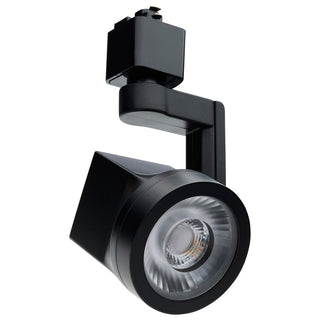 Buy black Lantern Track Light by Nuvo Lighting