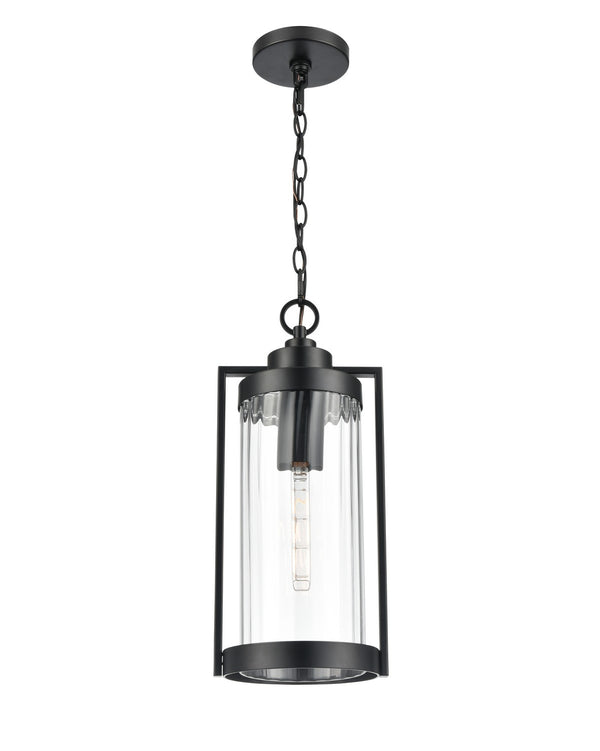 Braselton Outdoor (Wet) Hanging Lantern by Millennium