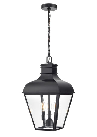 Edenton Outdoor (Damp) Hanging Lantern by Millennium