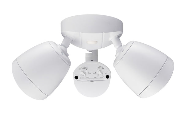 Outdoor (Wet) Floodlight by Millennium