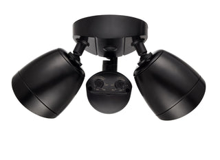 Buy powder-coated-matte-black-with-clear-glass Outdoor (Wet) Floodlight by Millennium