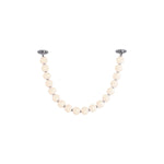 Alora-PD321718CH-UNV-010-RT|MAIN