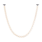 Alora-PD321736CH-UNV-010-RT|MAIN