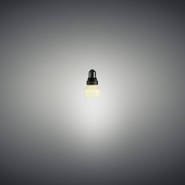 2 Watt E26 110.00V LED 2700k Light Bulb by Buster + Punch