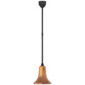 Academy Barn Light Outdoor (Damp) Pendant by Visual Comfort Signature
