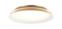 Dahlia Sconce by Matteo Lighting