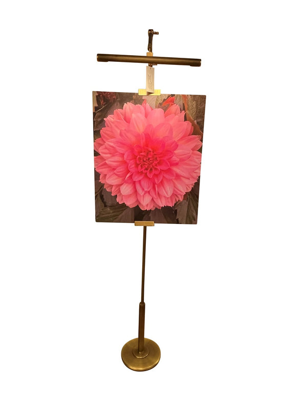 River North Floor Lamp by House of Troy