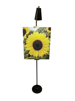 Buy black-antique-brass River North Floor Lamp by House of Troy