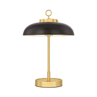 Hector Outdoor (Damp) Lamp by Hudson Valley