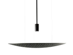 Accord Lighting-1519.44|MAIN