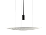 Accord Lighting-1520.47|MAIN