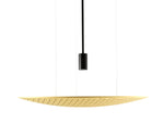 Accord Lighting-1521.49|MAIN