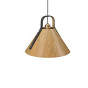 Strap Outdoor (Damp) Pendant by Accord Lighting