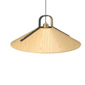 Strap Outdoor (Damp) Pendant by Accord Lighting