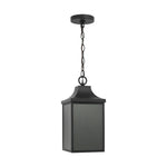 Generation Lighting-GLO1041EN3/TXB|MAIN