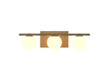 Accord Lighting-4207.49|MAIN