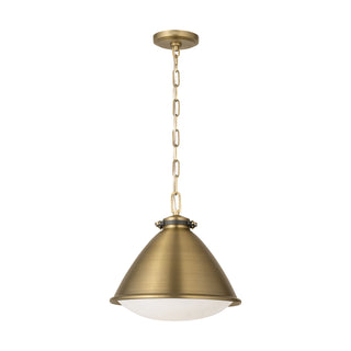 Buy time-worn-brass Hayward Outdoor (Damp) Pendant by Visual Comfort Studio
