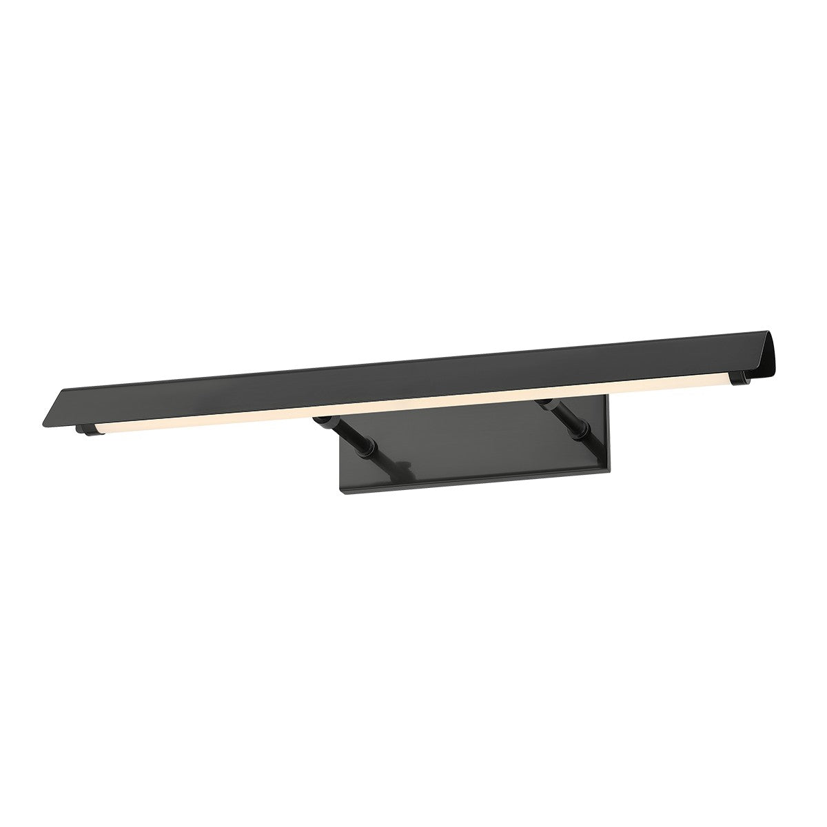 Regan Outdoor (Damp) Picture Light by Mitzi