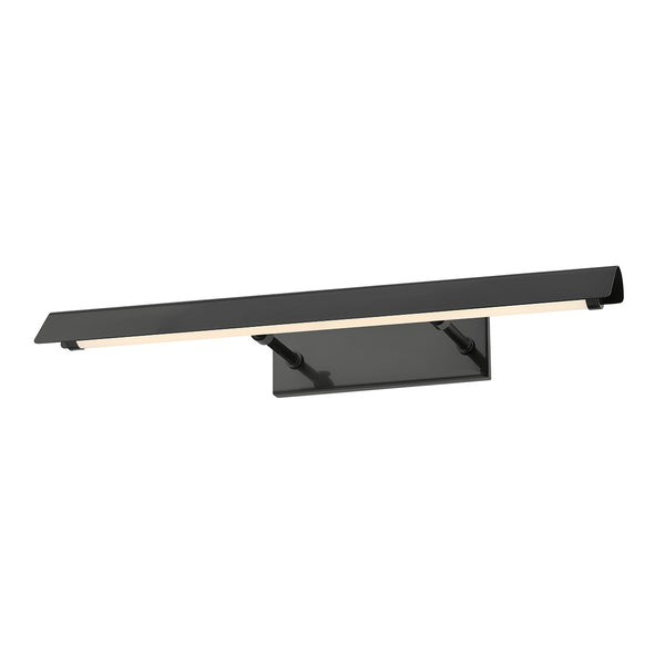 Regan Outdoor (Damp) Picture Light by Mitzi