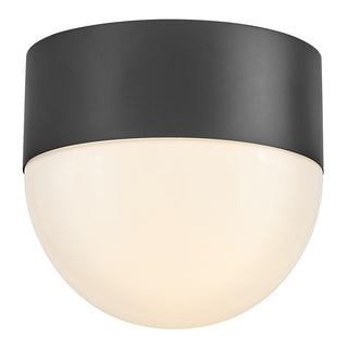 Bardi Outdoor (Damp) Flush Mount Ceiling Light by Lark
